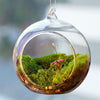 6/12/24/36pcs Hanging Christmas Baubles Clear Glass Tea Light Holder DIY Craft