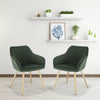 1x Kitchen Dining Chair Living Room Corner Chair with Velvet Steel Legs