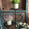 5 Tiers Metal Plant Flower Pot Stand Display Shelf Rack Patio Yard Deco