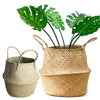 Wovens Seagrass Belly Basket Plant Flower Storage Straw Pot Home Garden Decors