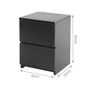 2 Drawers Bedside TableCabinet Nightstand ChestofDrawer Storage Bedroom Black UK