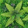 Artificial Plant Greenery Wall Hedge Grass Leaf Mat Fence Foliage Panel 60x40cm