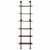 6-Tier Ladder Shelf Industrial Pipe Wall Shelf Display Rack Plant Stand Bookcase