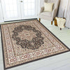 Luxury Oriental Large Traditional Rugs Bedroom Living Room Rug Hallway Runners