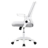 Ergonomic Office Chair Swivel Computer Desk Chair Adjustable Armrest Mesh Chair