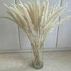 15/50PCS Artificial Dried Pampas Grass Reed Rabbit Tail Grass Flower Bunch Decor