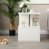 High Gloss 2 Tier Side/Coffee Table With RGBP LED Light Living Room Decor-White
