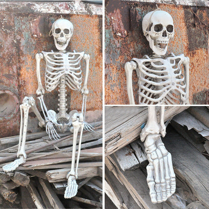 Poseable Full Life Size Human Skeleton 160cm Halloween Party Haunted House Prop