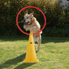 Dog Agility Equipment Set Pet Jumps Kit Outdoor Obstacles Jumping Training Tool