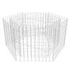 Patio Hexagonal Gabion Raised Bed 100x90x50 cm