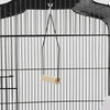 Large Metal Bird Cage Canary Parakeet Budgie Cockatiel Lovebird Tall Cages Black