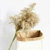 10x Natural Dried Pampas Grass Reed Flower Bunch Wedding Bouquet Home Decor