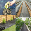 Heavy Duty Weed Control Fabric Membrane Garden Landscape Ground Cover Sheet Mat