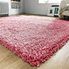 Super Soft Living Room Rug Non Slip Hallway Runner Large Fluffy Rugs Small Mat