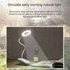 LED USB Clip On Flexible Desk Lamp Dimmable Memory Bed Reading Table Study Light