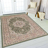 Luxury Oriental Large Traditional Rugs Bedroom Living Room Rug Hallway Runners
