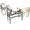 Double Elevated Dog Pet Feeder Bowl Stainless Steel Food Water Stand Tray UK