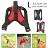 Non-Pull Dog Harness Adjustable Pet Puppy Walking Strap Vest Soft Chest Belt UK