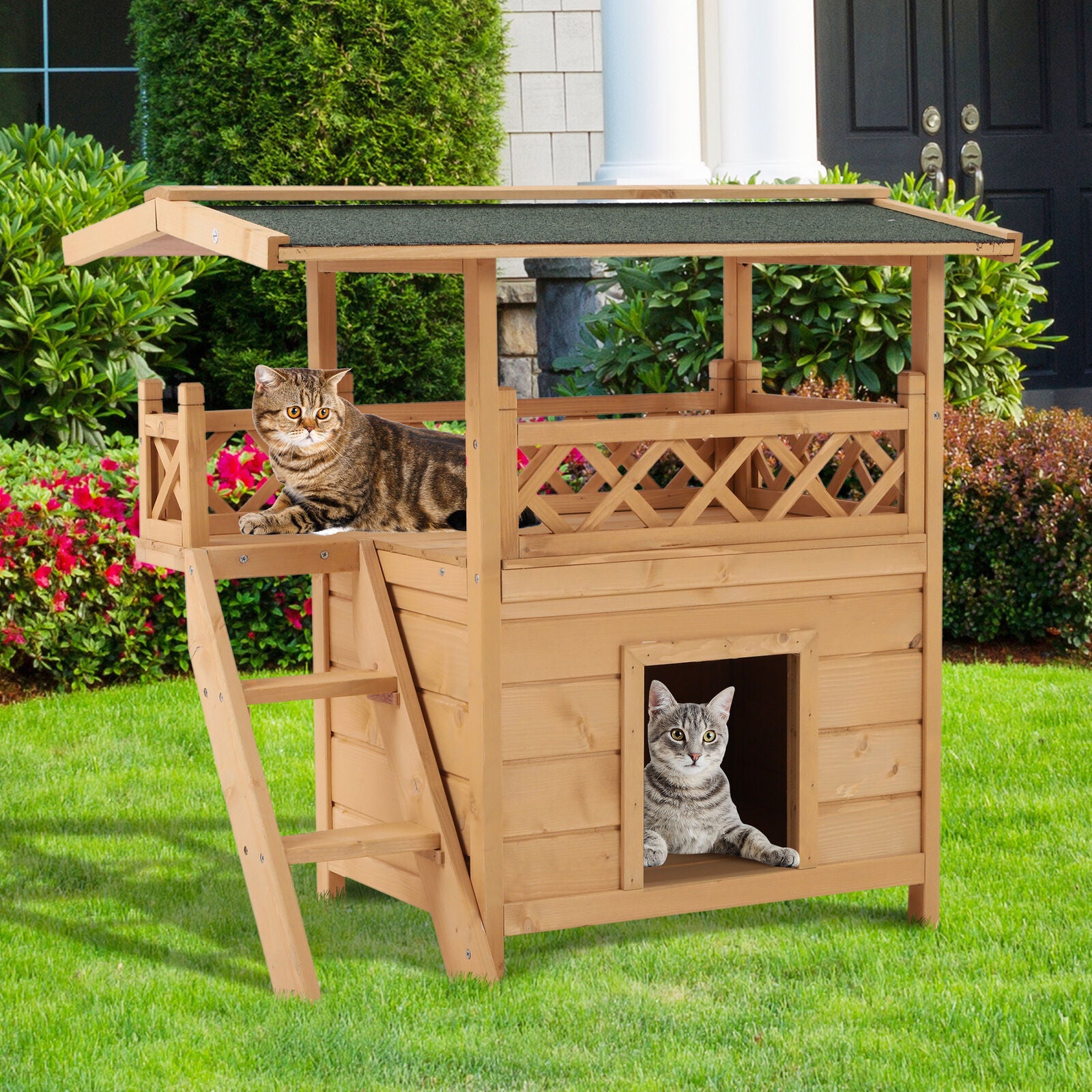 Cat and dog kennels hotsell