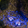 LED Solar Power Ground Lights Floor Decking Patio Outdoor Garden Lawn Path Light