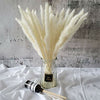 15/30/60x Artificial Dried Pampas Grass Phragmites Communis Bunch Home Decor