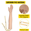 VEVOR IV Practice Arm Phlebotomy & Venipuncture Practice Arm Training Model