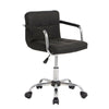Cushioned Computer Office Desk Chair Chrome Legs Lift Swivel Small Adjustable