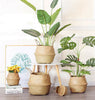 Foldable Flower Plants Seagrass Woven Storage Basket Straw Pots Home Decor