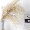 100/50 Pcs Wedding Dried Reed Bundle Pampas Grass Bouquet Flower Party Decor.