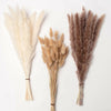 15/50PCS Artificial Dried Pampas Grass Reed Rabbit Tail Grass Flower Bunch Decor