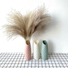100/50 Pcs Wedding Dried Reed Bundle Pampas Grass Bouquet Flower Party Decor.