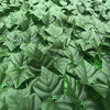 3M (24Pcs) Artificial Faux Ivy Leaf Hedge Garden Fence Privacy Screen Wall Cover