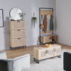 Ex Display Lena Rattan Shoe Storage Cabinet