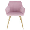 1x Kitchen Dining Chair Lounge Living Room Corner Chair with Velvet Steel Legs