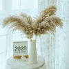 10x Natural Dried Pampas Grass Reed Flower Bunch Wedding Bouquet Home Decor