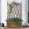 Indoor Outdoor Wooden Raised Bed Tall Planter Box with Generous Hanging Trellis