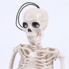 170cm Poseable Human Skeleton Skull Hanging Halloween Scary Decoration