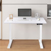 Standing Desk Electric Height Adjustable Desk 100/110/120 cm Desk Computer Desk