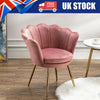 Velvet Tub Chair | Accent Occasional Chair Lounge Armchair | with Gold Legs