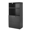 Filing Cabinet Freestanding Display Cabinet Filing Cabinet with 2 Drawer 1 Shelf