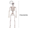 170cm Poseable Human Skeleton Skull Hanging Halloween Scary Decoration