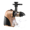 Slow Masticating Juicer Extractor Cold Press Juicer Machines Quiet Motor 2 Speed