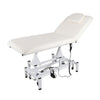 Electric Massage Bed Adjustable Couch Chair Recliner Beauty Salon Table Facial