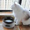 Cat Raised Bowl No-slip Stainless Steel Elevated Stand Tilted Feeder Bowl Fixed
