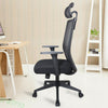 Ergonomic Office Chair Mesh Back Height Adjustable Wheels Gas Lift Computer Desk