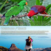 F30070M Monocular Professional Space Astronomic Telescope with Tripod UK
