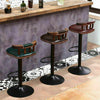 2PCS Bar Stools Swivel Bar Stool Comfortable Chair Seat Garden Shed Pub Leisure