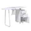 Professional Manicure Table Salon Nail Station Beauty Desk +Dust Collector White