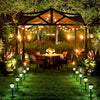 50FT GLOBE FESTOON STRING LIGHTS MAINS POWERED 50 G40 5BULBS WARM WHITE OUTDOOR