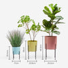 Set of 3 Pastel Planters